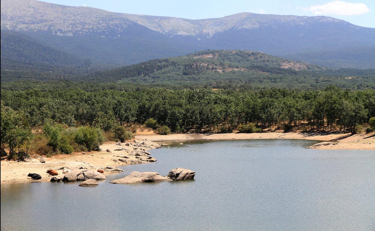 El volumen de agua embalsada en el Pontón Alto baja poco a poco hasta situarse este martes en el 77,5% de la capacidad total. 