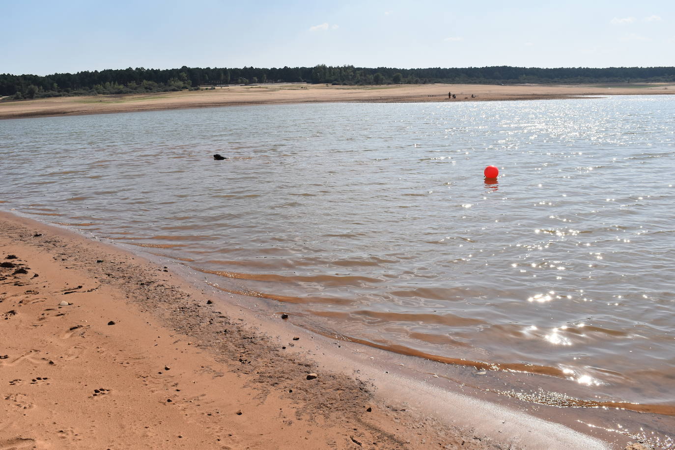 Fotos: La sequía muestra signos alarmantes en el pantano de Aguilar