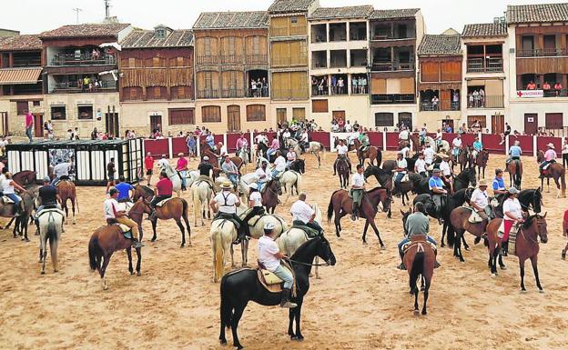 Caballistas en la plaza del Coso de Peñafiel, donde finalizó el traslado de reses mansas desde el campo. 