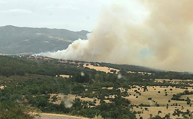 Los servicios de extinción 'confinan' el incendio de Becerril y frenan su avance hacia Villacorta
