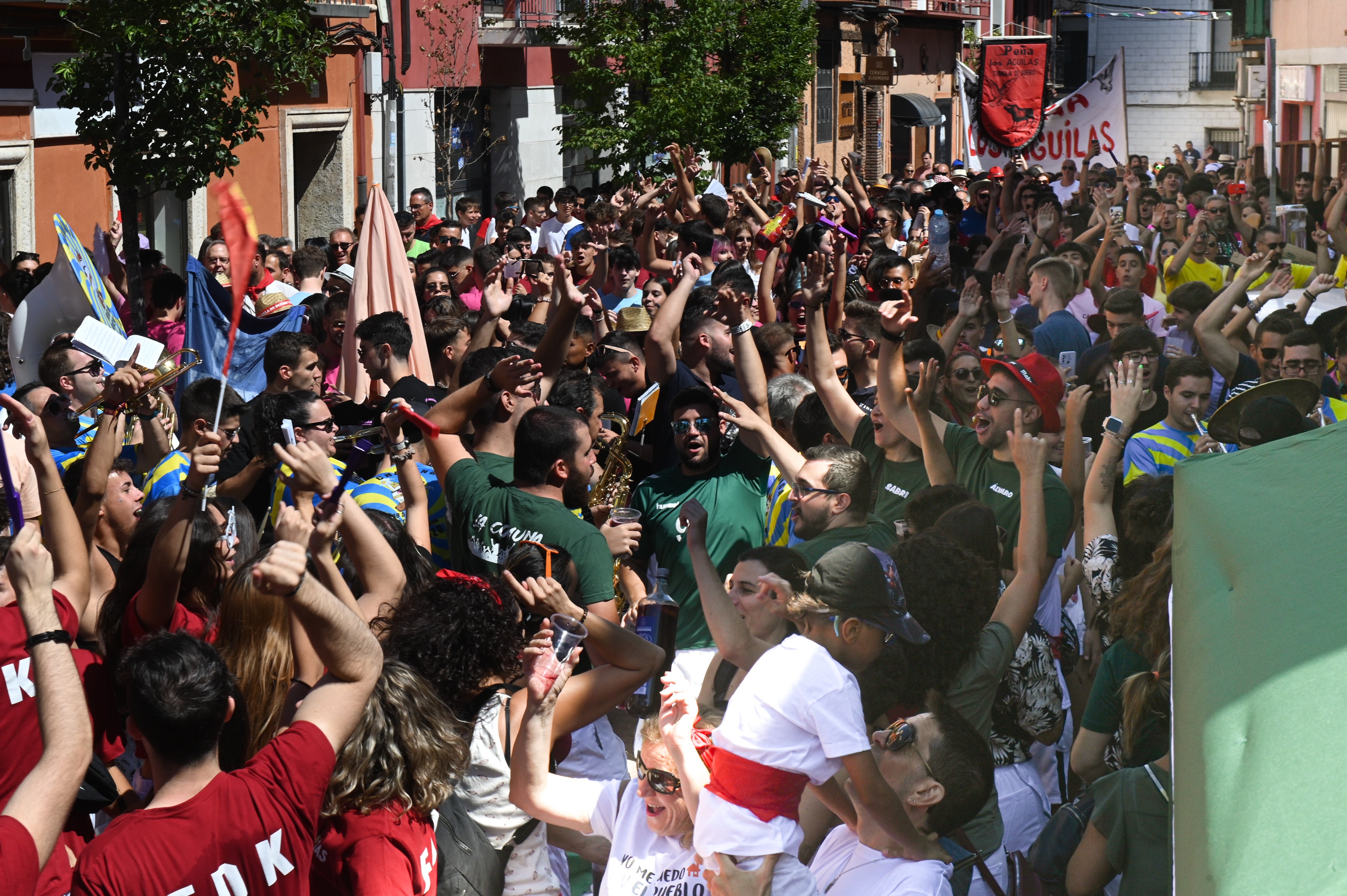 Fotos: Tudela de Duero vuelve a celebrar sus fiestas (2/2)