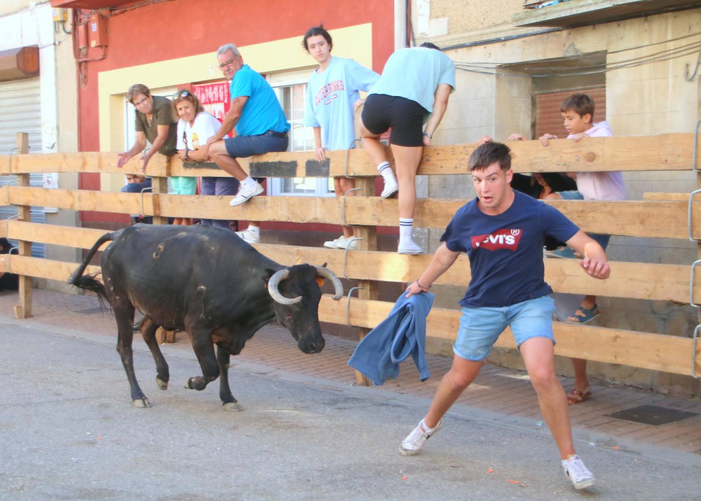 Fotos: Los primeros encierros en Palencia después de un parón de dos años