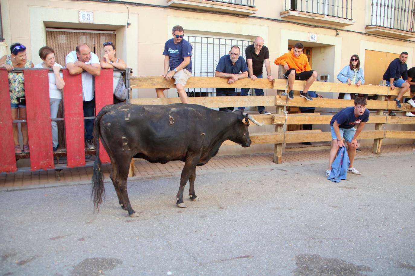 Fotos: Los primeros encierros en Palencia después de un parón de dos años
