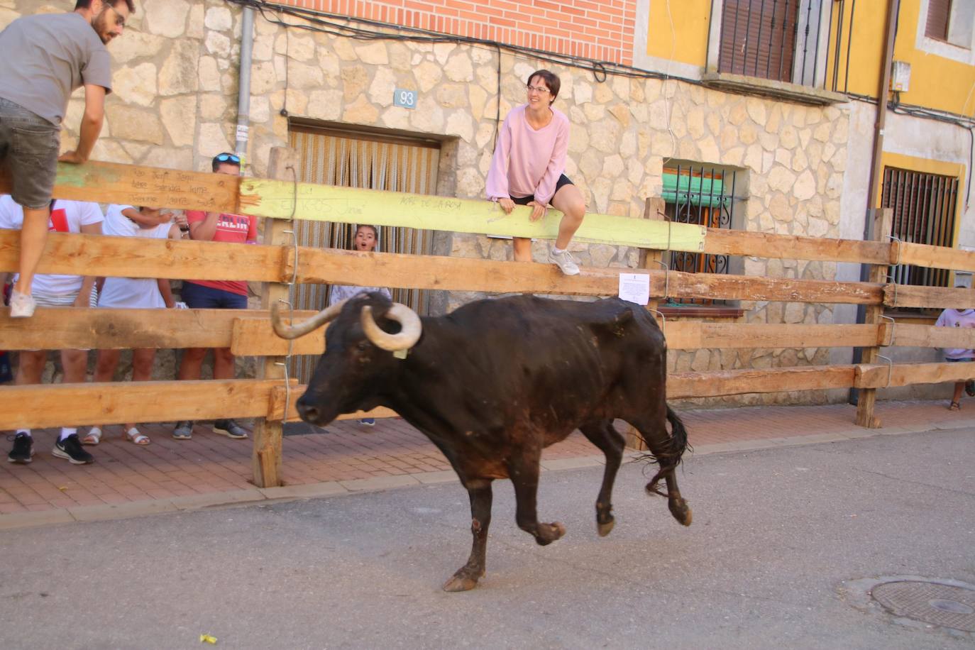 Fotos: Los primeros encierros en Palencia después de un parón de dos años