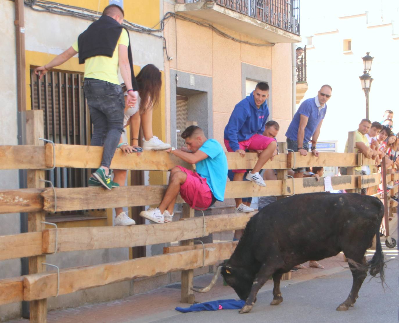 Fotos: Los primeros encierros en Palencia después de un parón de dos años