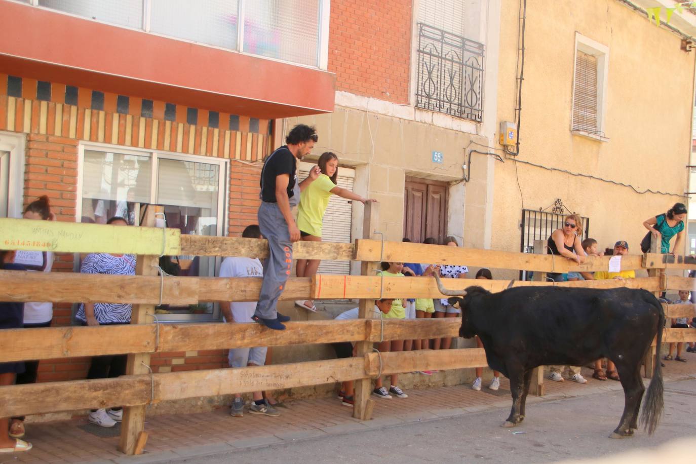 Fotos: Los primeros encierros en Palencia después de un parón de dos años