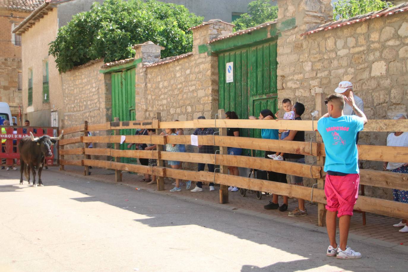 Fotos: Los primeros encierros en Palencia después de un parón de dos años