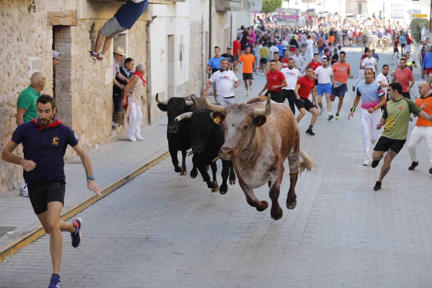 Fotos: El primer encierro de las fiestas de Peñafiel, en imágenes