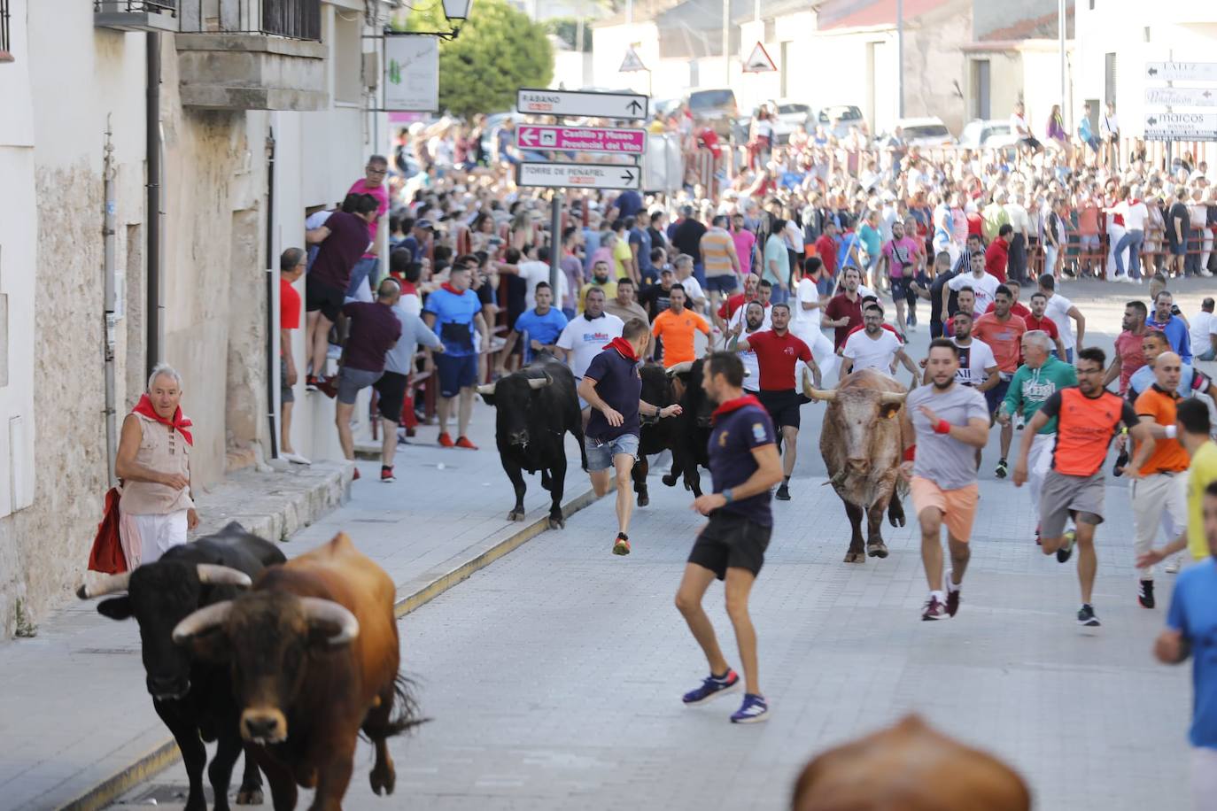 Fotos: El primer encierro de las fiestas de Peñafiel, en imágenes