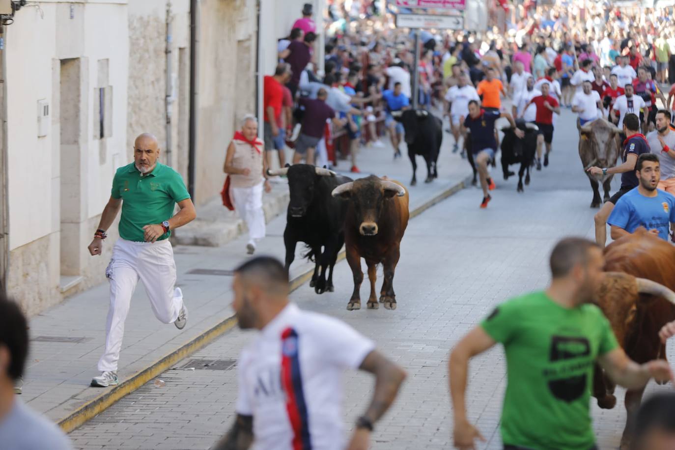 Fotos: El primer encierro de las fiestas de Peñafiel, en imágenes