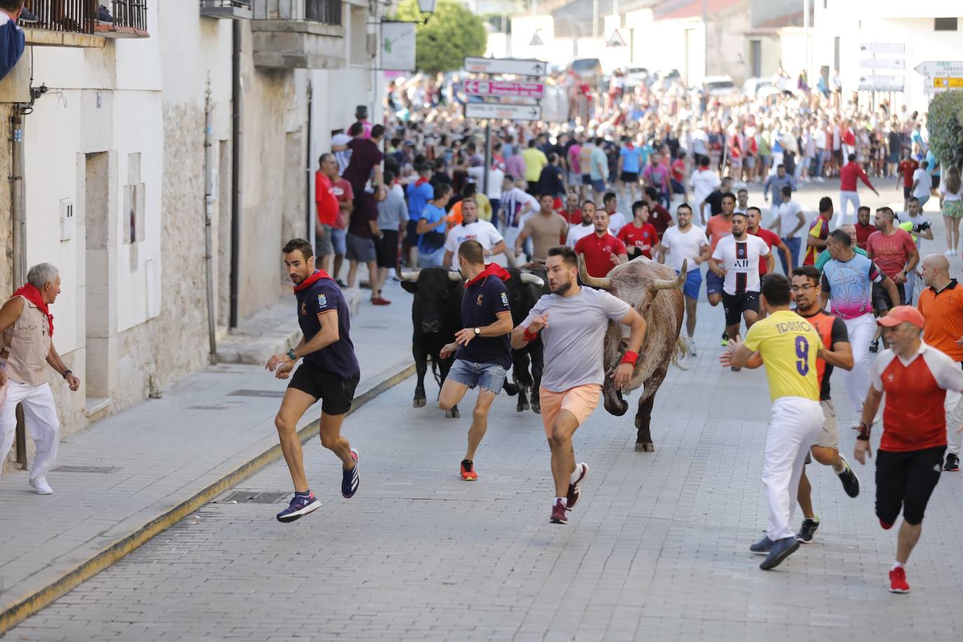 Fotos: El primer encierro de las fiestas de Peñafiel, en imágenes