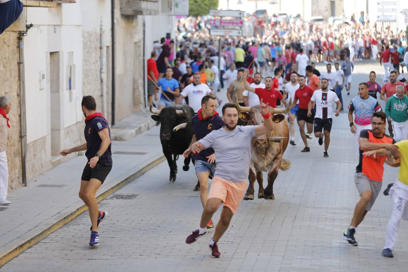 Fotos: El primer encierro de las fiestas de Peñafiel, en imágenes