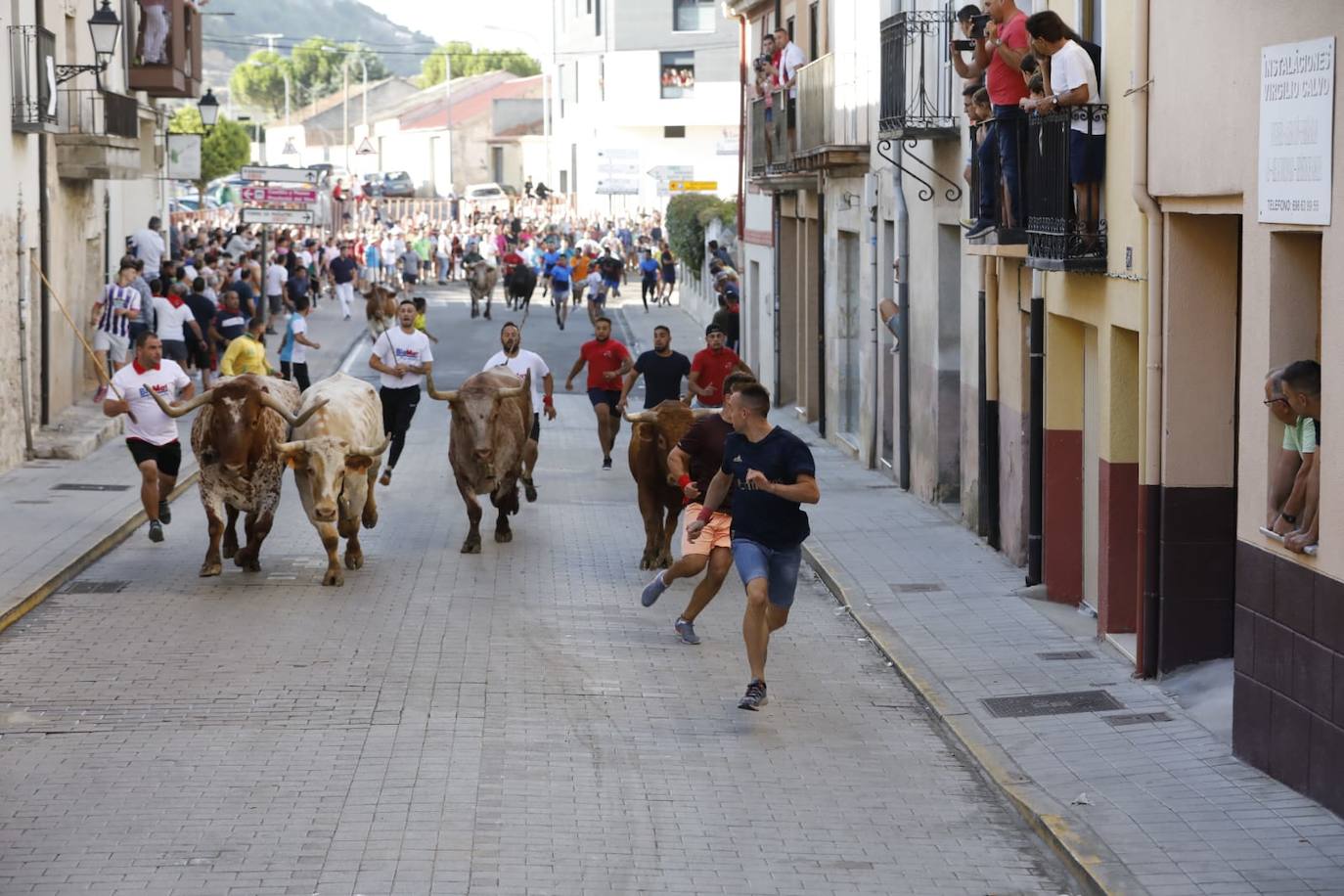 Fotos: Segundo encierro de las fiestas de Peñafiel