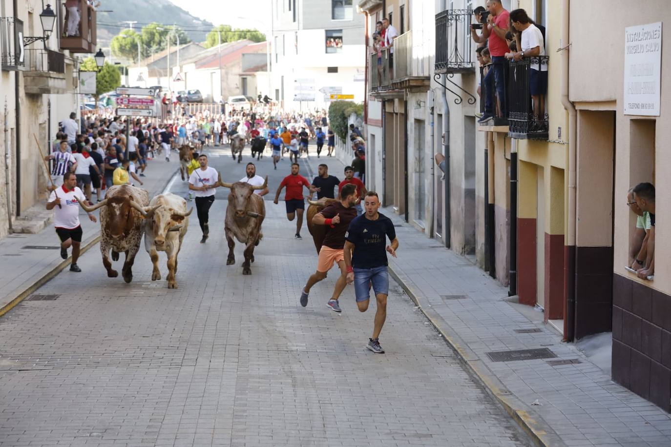 Fotos: Segundo encierro de las fiestas de Peñafiel