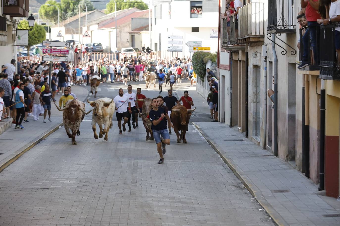 Fotos: Segundo encierro de las fiestas de Peñafiel