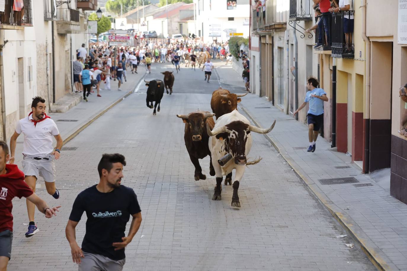 Fotos: Segundo encierro de las fiestas de Peñafiel