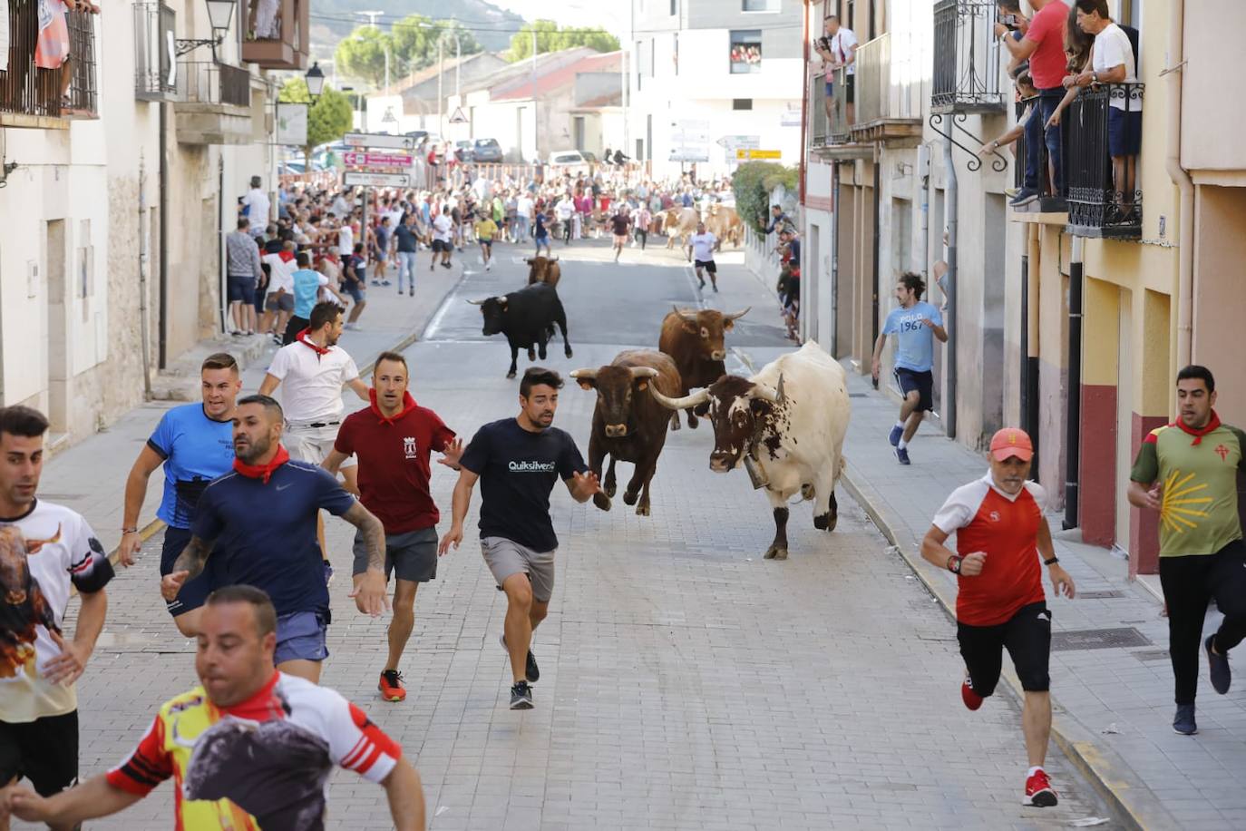 Fotos: Segundo encierro de las fiestas de Peñafiel