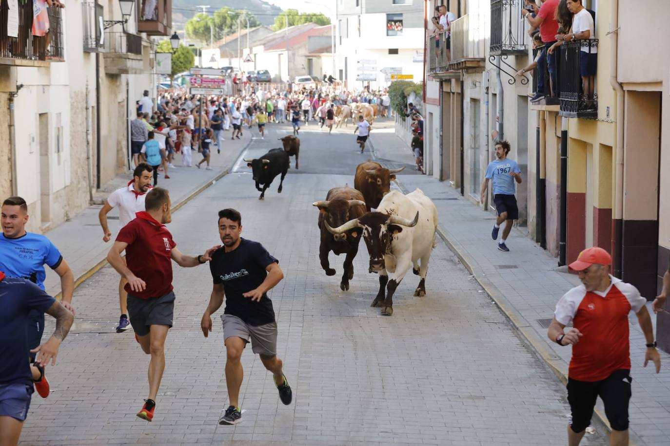 Fotos: Segundo encierro de las fiestas de Peñafiel