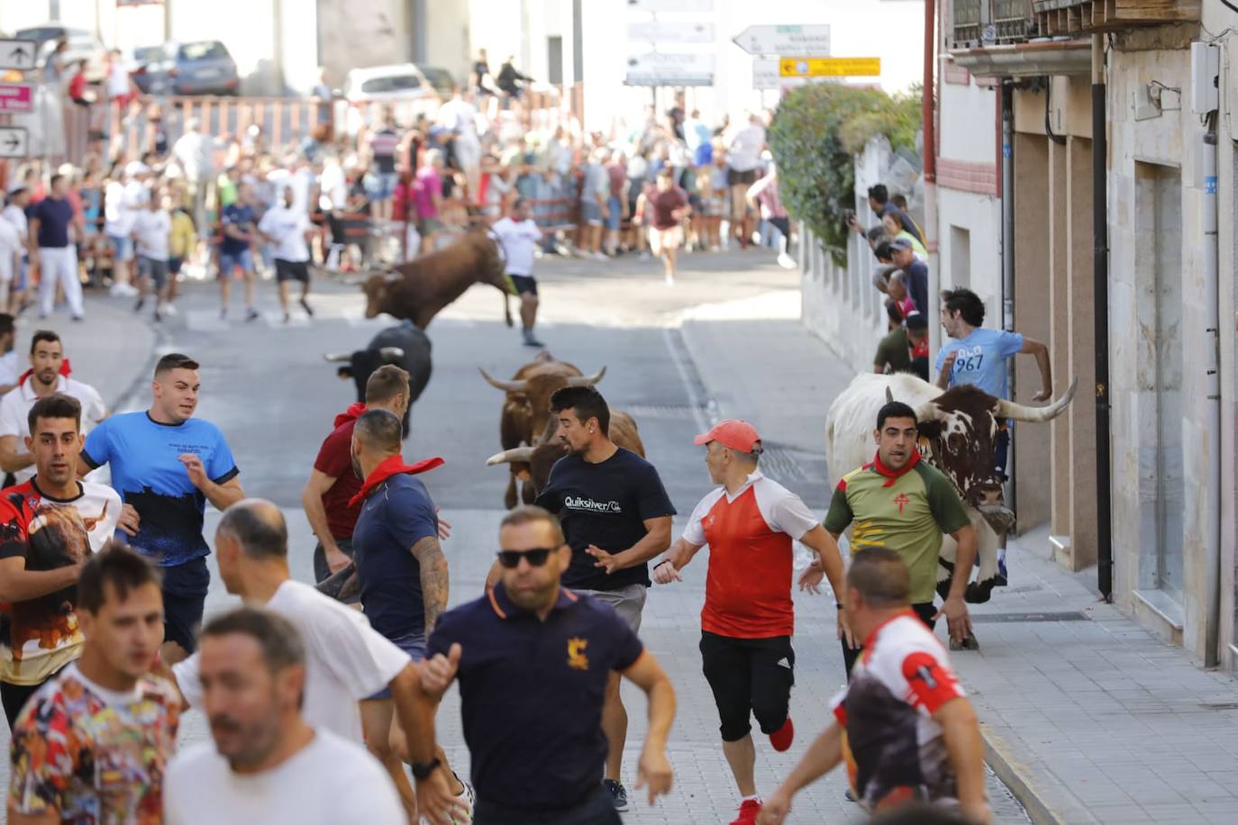 Fotos: Segundo encierro de las fiestas de Peñafiel