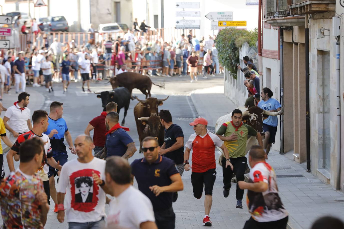 Fotos: Segundo encierro de las fiestas de Peñafiel