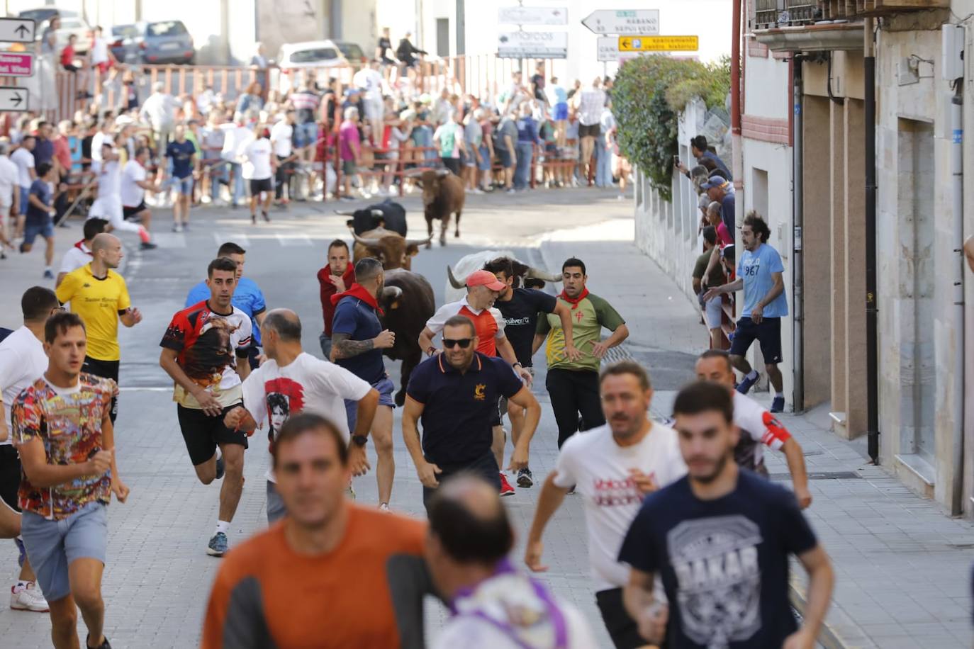 Fotos: Segundo encierro de las fiestas de Peñafiel