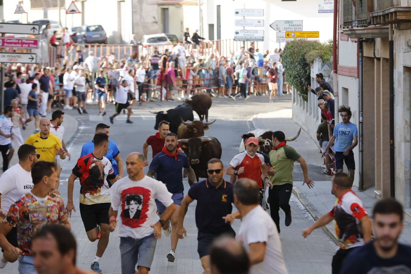 Fotos: Segundo encierro de las fiestas de Peñafiel