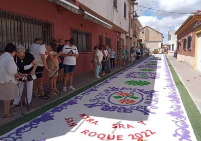 Imagen secundaria 1 - Recorrido por Villafrades (izquierda) y alfombra floral en Viana. 