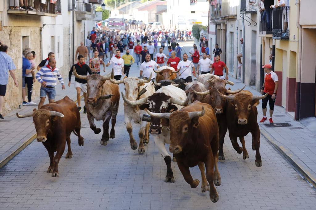 Fotos: El tercer encierro de las fiestas de Peñafiel, en imágenes