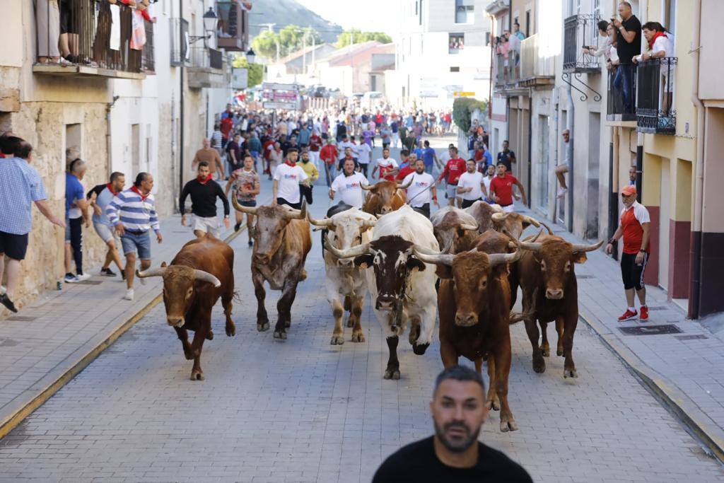 Fotos: El tercer encierro de las fiestas de Peñafiel, en imágenes