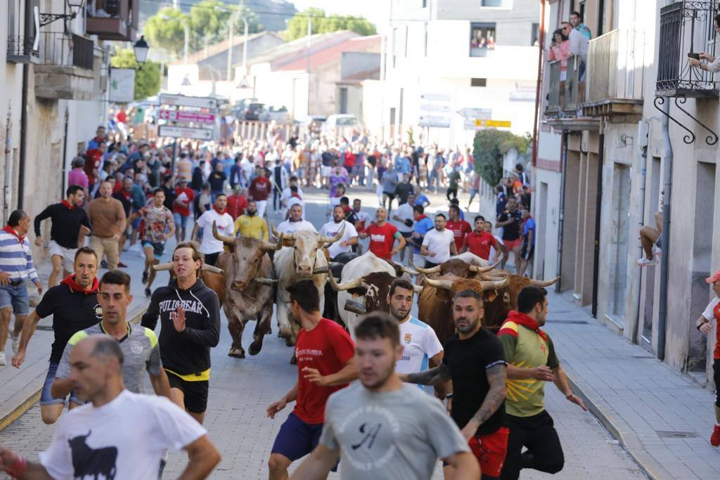 Fotos: El tercer encierro de las fiestas de Peñafiel, en imágenes