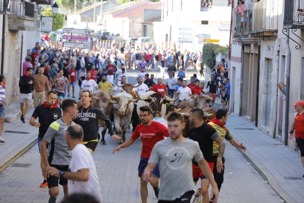 Fotos: El tercer encierro de las fiestas de Peñafiel, en imágenes