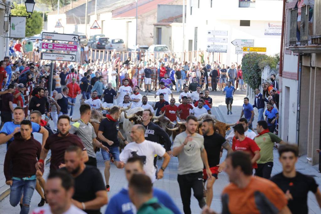 Fotos: El tercer encierro de las fiestas de Peñafiel, en imágenes