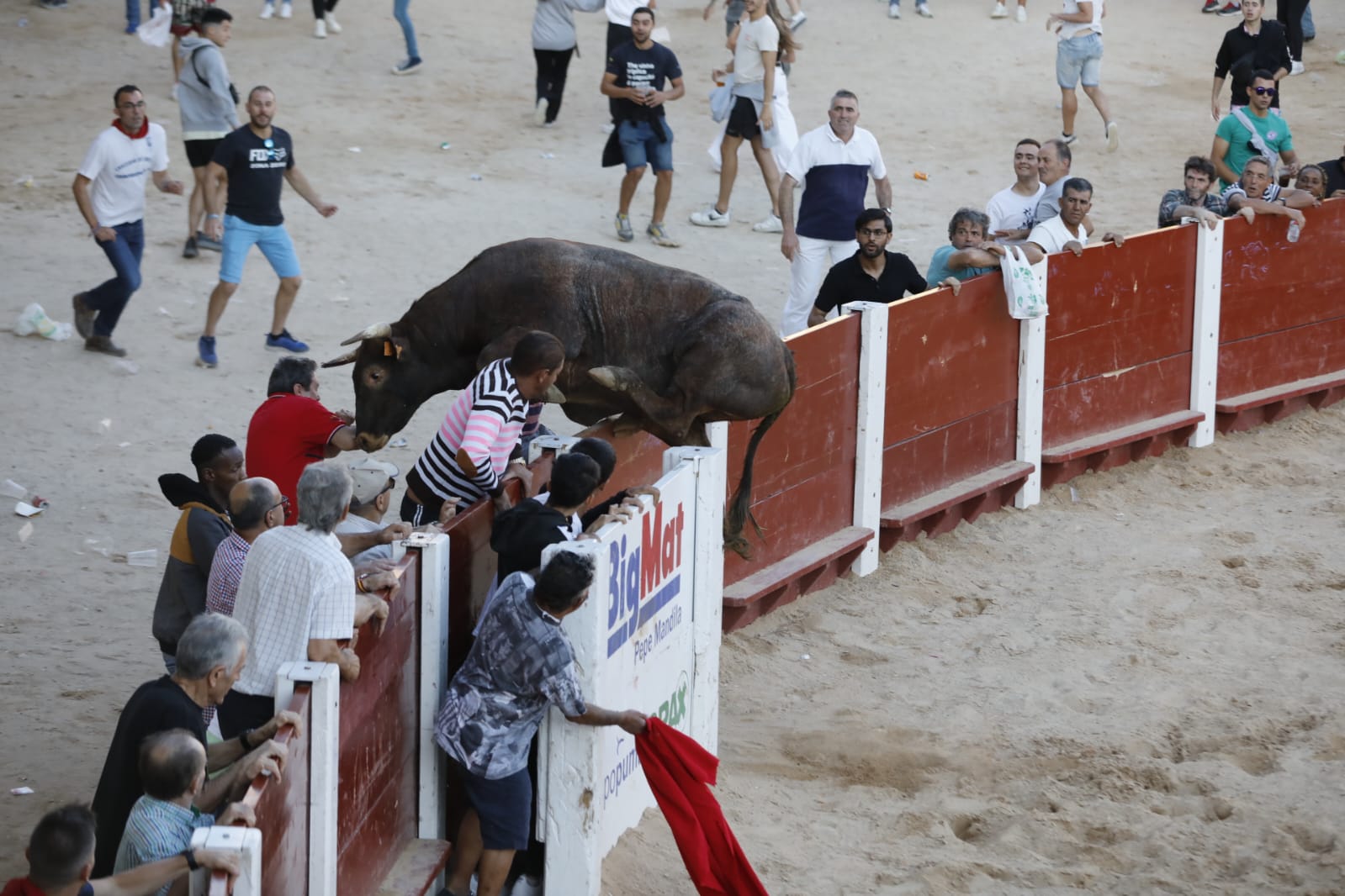 Fotos: La secuencia de imágenes del toro que ha embestido a un hombre en Peñafiel