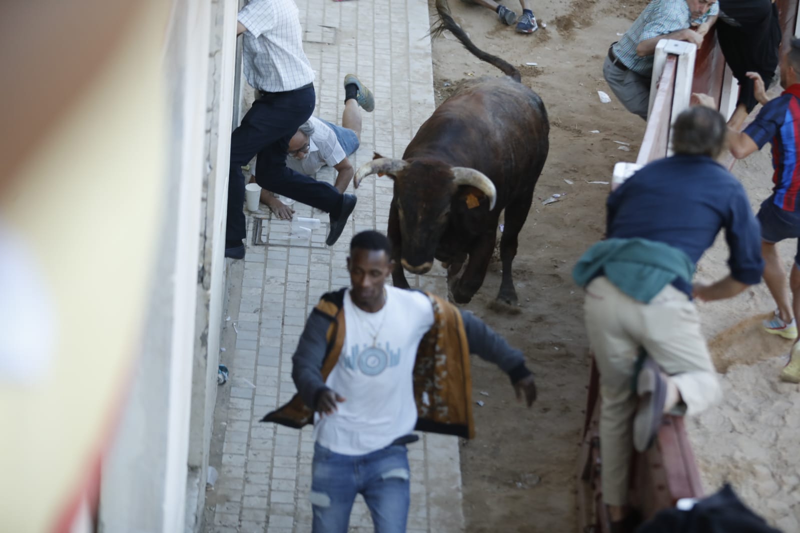 Fotos: La secuencia de imágenes del toro que ha embestido a un hombre en Peñafiel