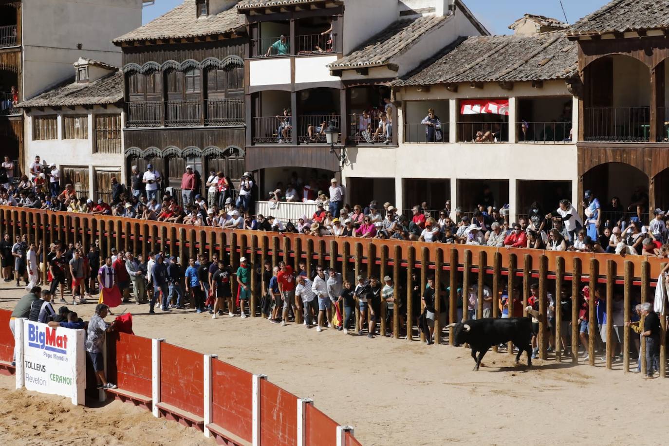 Fotos: Cuarto y último encierro de las fiestas de Peñafiel