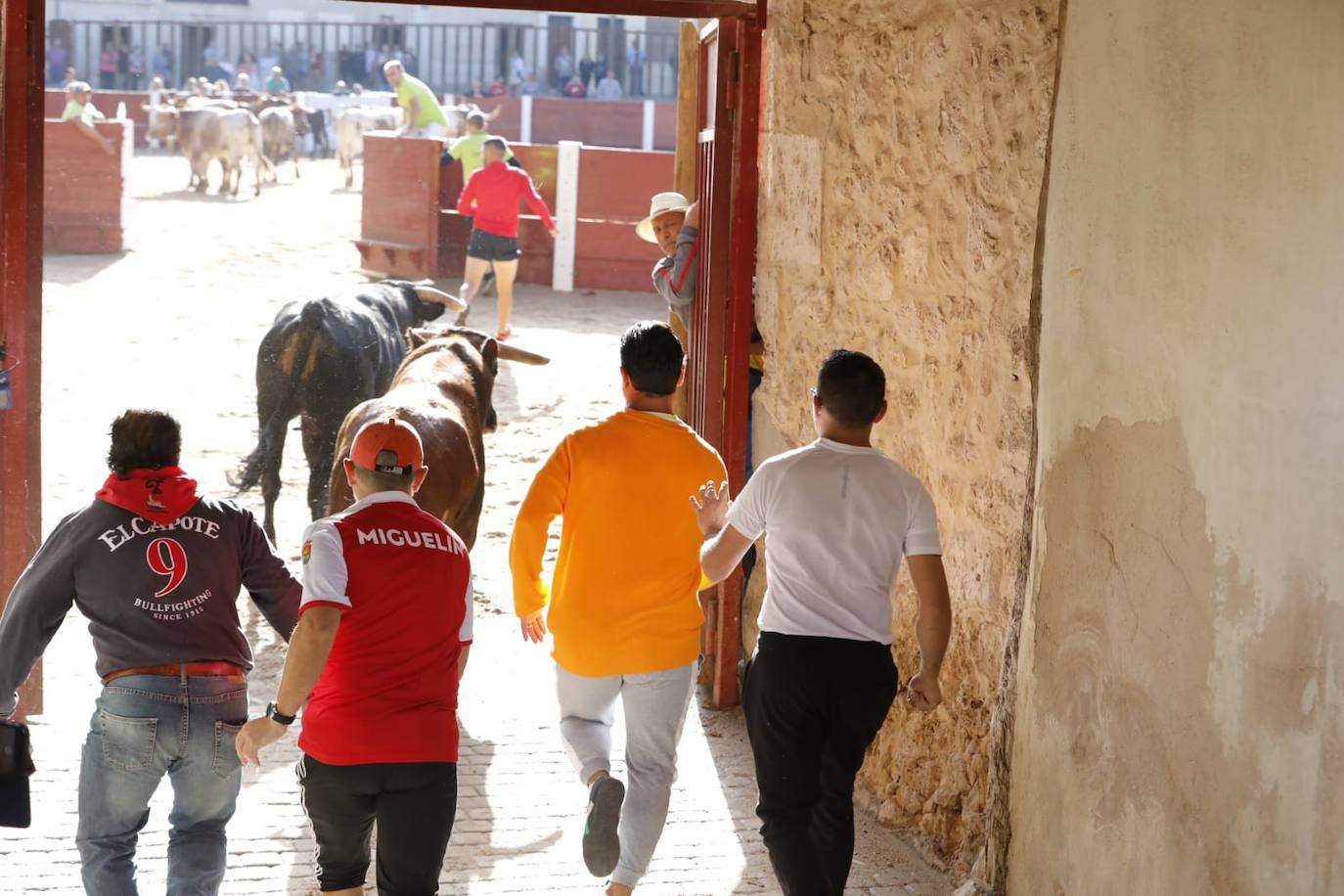 Fotos: Cuarto y último encierro de las fiestas de Peñafiel