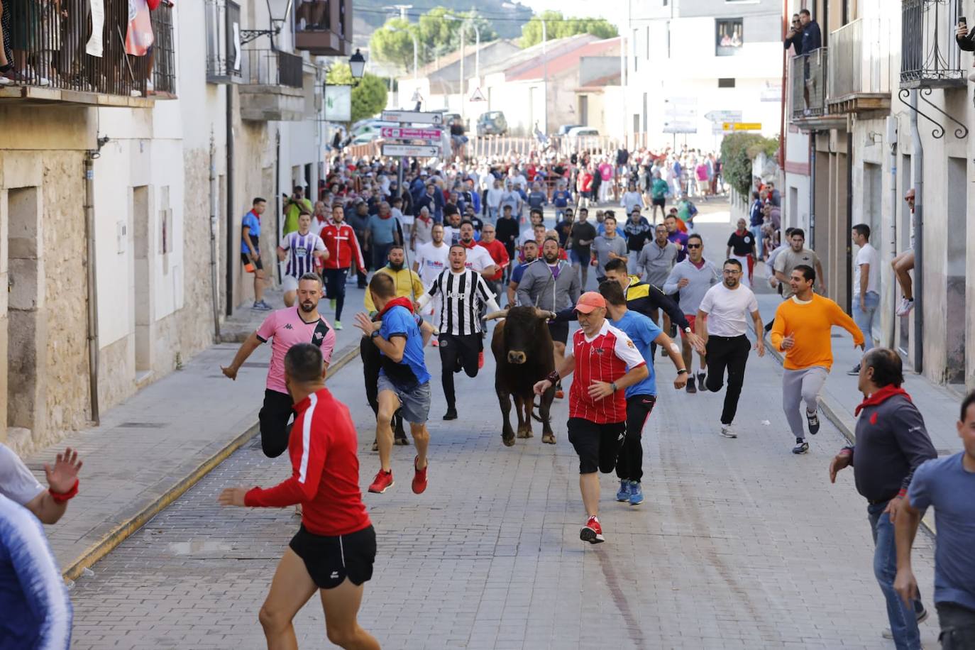 Fotos: Cuarto y último encierro de las fiestas de Peñafiel