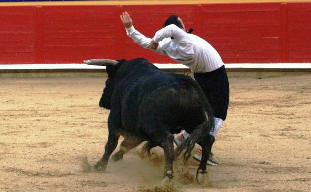 Uno de los participantes ejecutando un corte a un novillo. 