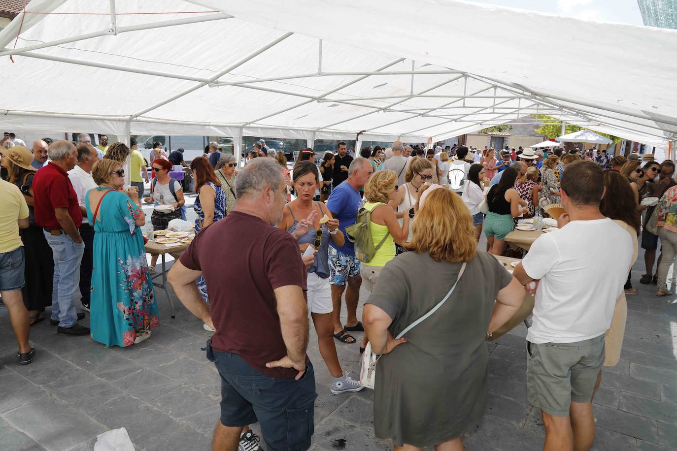 Fotos: Feria del Queso en Sardón de Duero, Valladolid
