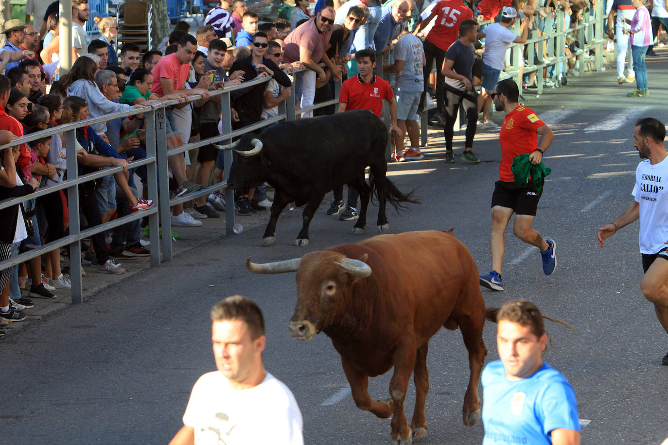 Encierro por las calles de Cuéllar.