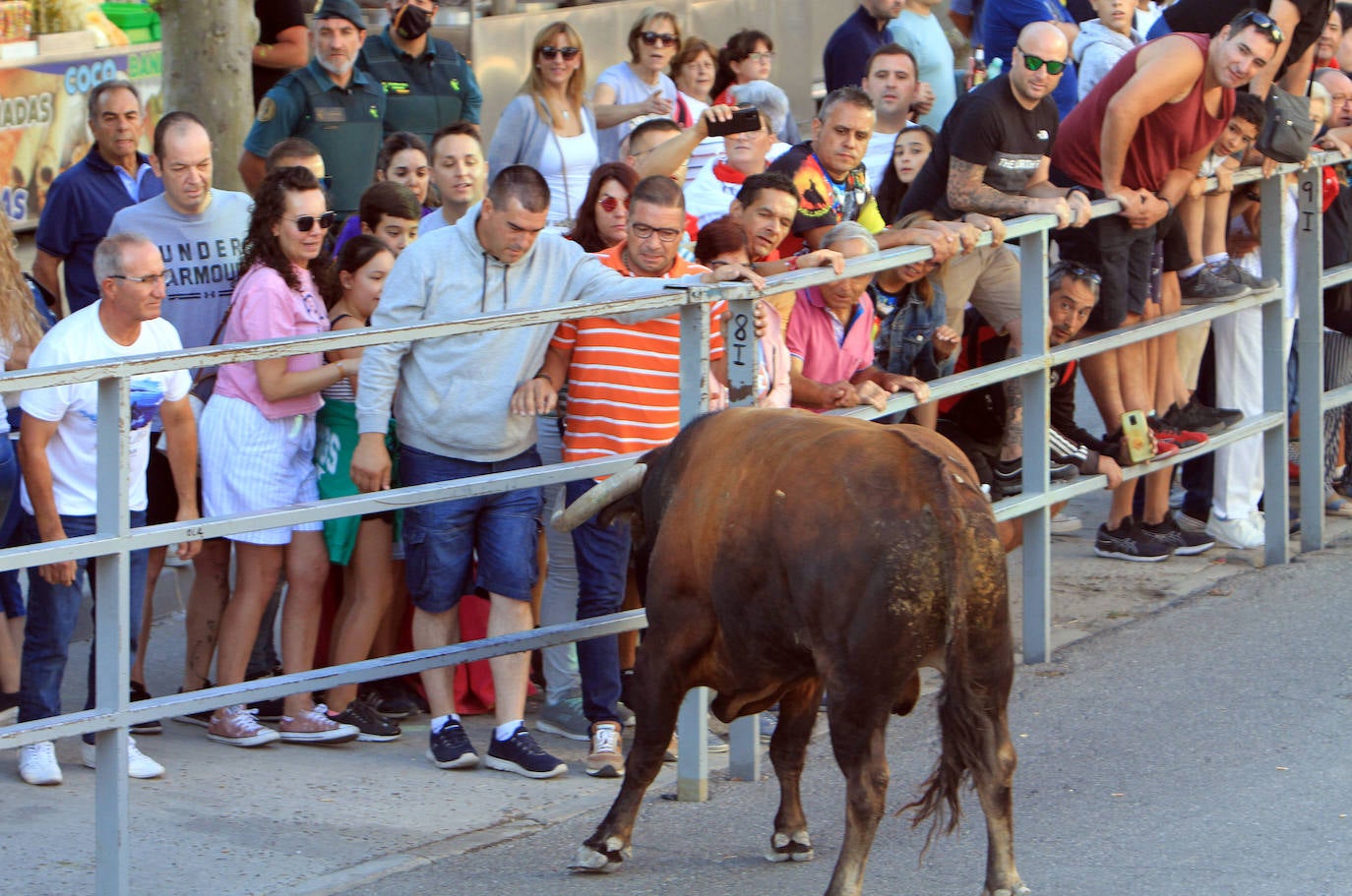 Encierro por las calles de Cuéllar.