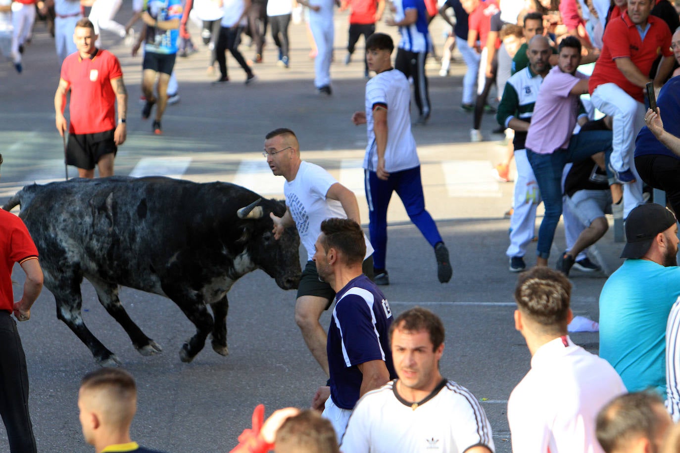 Encierro por las calles de Cuéllar.