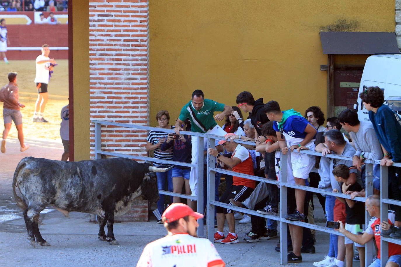 Encierro por las calles de Cuéllar.