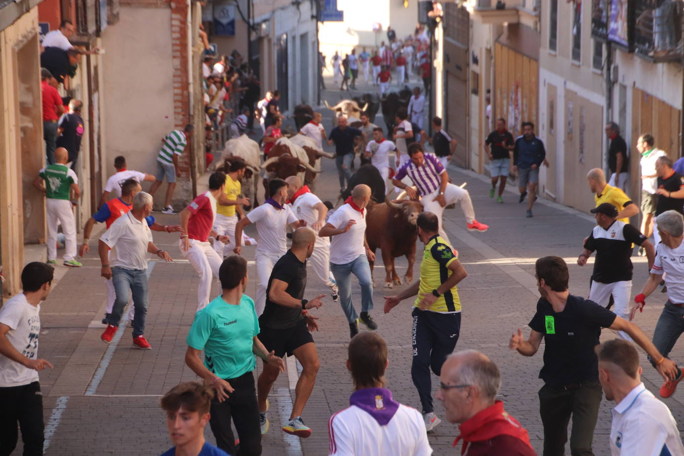 Encierro por las calles de Cuéllar.