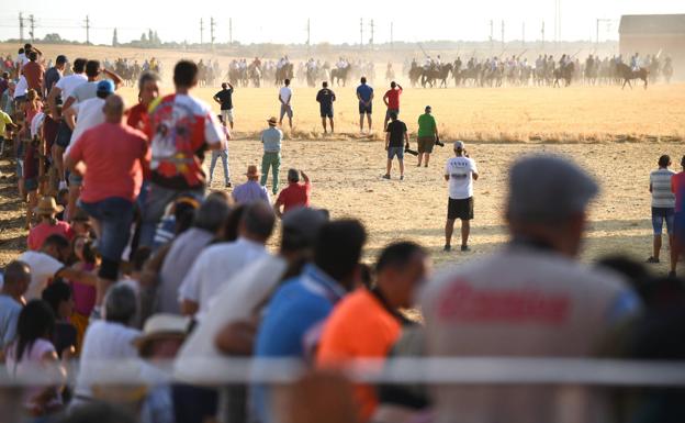 Galería. Encierro mixto celebrado este domingo en Medina del Campo.