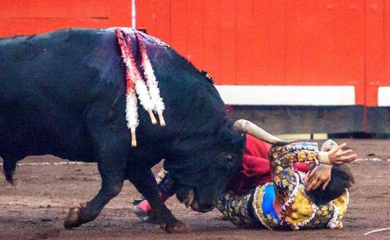 El diestro peruano Roca Rey sufrió una cogida en la plaza de toros de Bilbao.