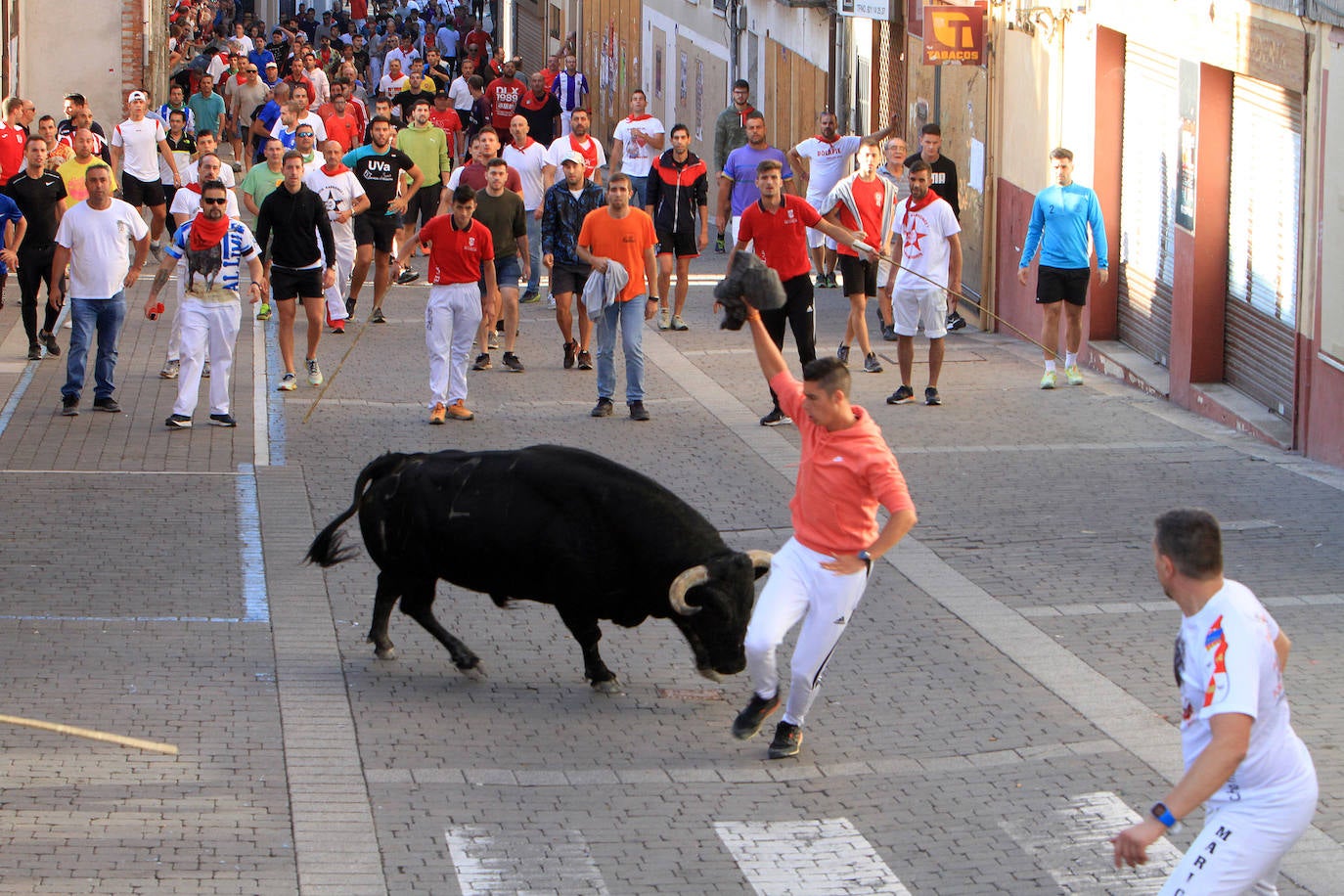 Encierro del martes en las fiestas de Cuéllar.