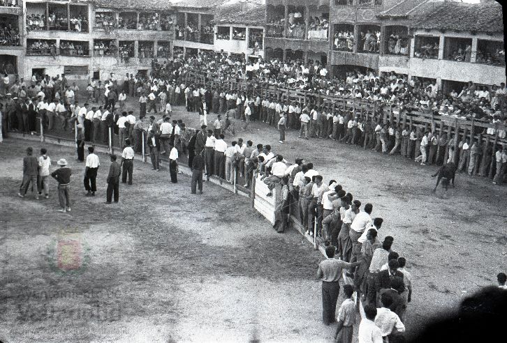 Fotos: Los festejos taurinos de Peñafiel en los años 60