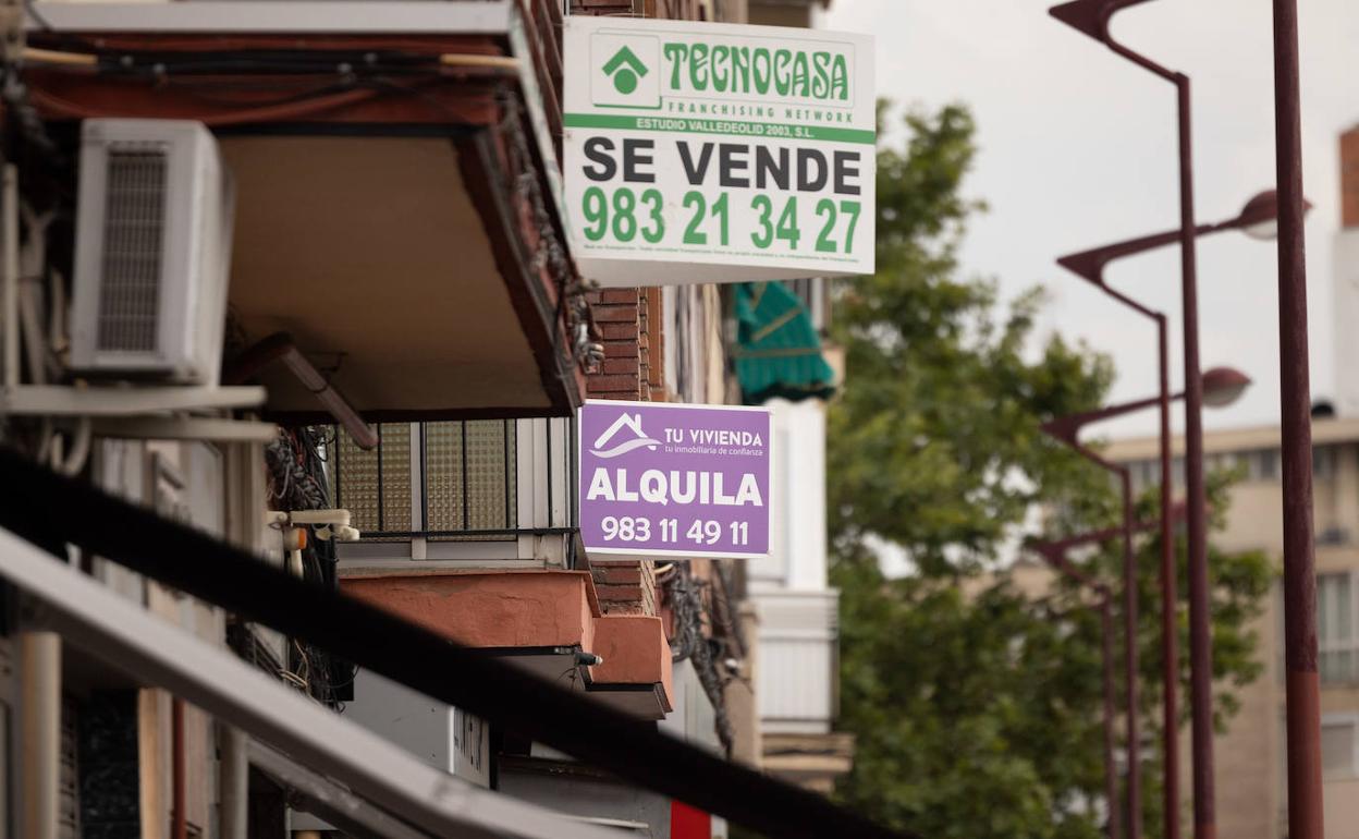 Carteles que anuncian venta y alquiler de pisos en Valladolid.