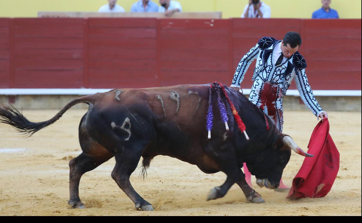 Palencia: Un Luque pletórico indulta en la goyesca de San Antolín